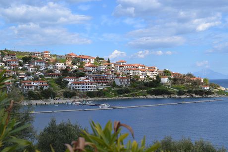 Οικόπεδο 15.000 τ.μ. για πώληση