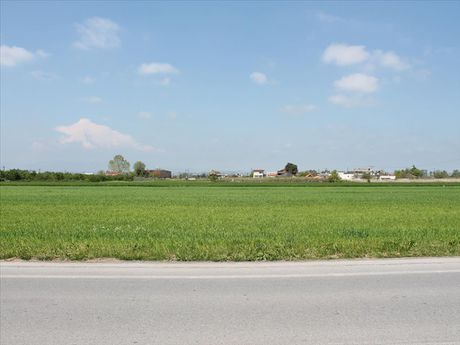 Οικόπεδο 4.500 τ.μ. για πώληση