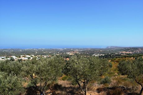 Οικόπεδο 8.556 τ.μ. για πώληση