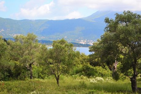 Οικόπεδο 5.500 τ.μ. για πώληση