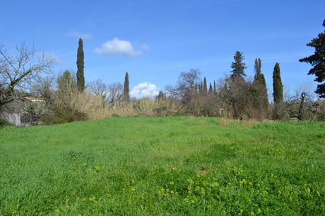 Οικόπεδο 6.500 τ.μ. για πώληση