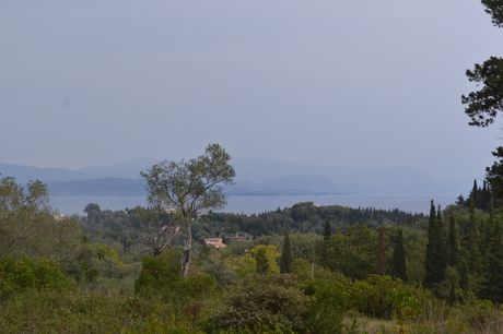 Οικόπεδο 65.000 τ.μ. για πώληση