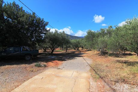 Land plot 7.800 sqm for sale