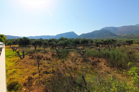 Οικόπεδο 5.500 τ.μ. για πώληση