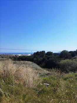 Οικόπεδο 37.500 τ.μ. για πώληση