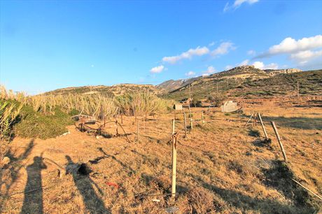 Οικόπεδο 2.000 τ.μ. για πώληση