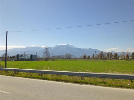 Οικόπεδο 6.500 τ.μ. για πώληση