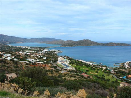Land plot 36.000 sqm for sale