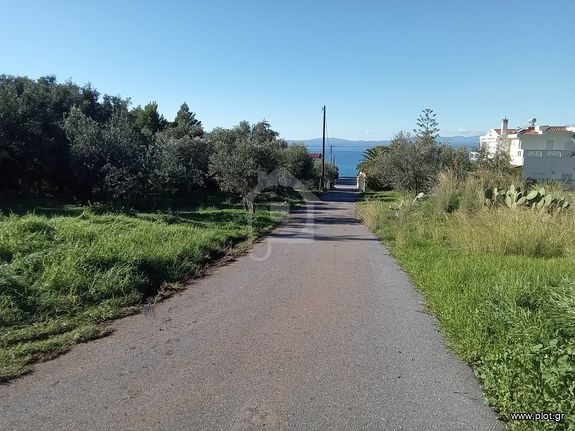 Land plot 1.425 sqm for sale, Messinia, Kalamata