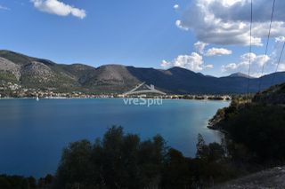 Αγροτεμάχια 4.462 τ.μ. πρός πώληση, Θεσπρωτία, Σύβοτα-thumb-6