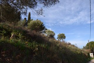 Αγροτεμάχια 4.462 τ.μ. πρός πώληση, Θεσπρωτία, Σύβοτα-thumb-15