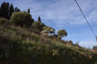 Αγροτεμάχια 4.462 τ.μ. πρός πώληση, Θεσπρωτία, Σύβοτα-thumb-16