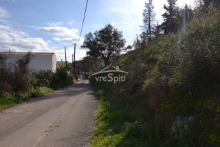Αγροτεμάχια 4.462 τ.μ. πρός πώληση, Θεσπρωτία, Σύβοτα-thumb-19