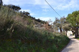 Αγροτεμάχια 4.462 τ.μ. πρός πώληση, Θεσπρωτία, Σύβοτα-thumb-20