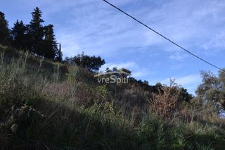 Αγροτεμάχια 4.462 τ.μ. πρός πώληση, Θεσπρωτία, Σύβοτα-thumb-22
