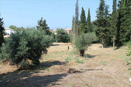 Οικόπεδο 2.500 τ.μ. για πώληση