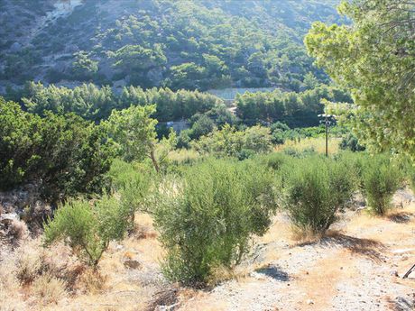 Οικόπεδο 4.000 τ.μ. για πώληση