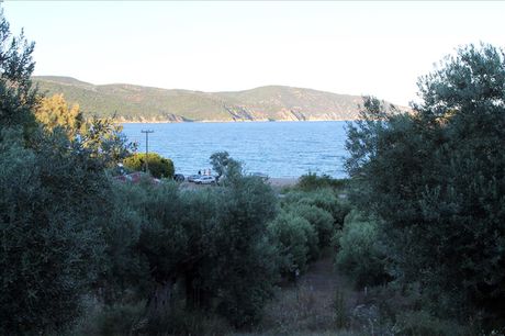 Οικόπεδο 6.450 τ.μ. για πώληση