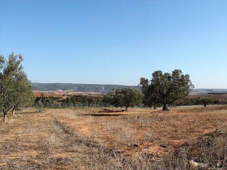 Οικόπεδο 0 τ.μ. για πώληση