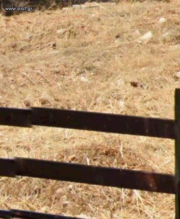 Οικόπεδο 422 τ.μ. για πώληση, Αθήνα - Νότια Προάστια, Νέα Σμύρνη