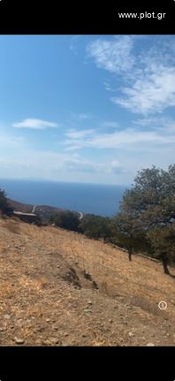 Land plot 10.000 sqm for sale, Cyclades, Kea
