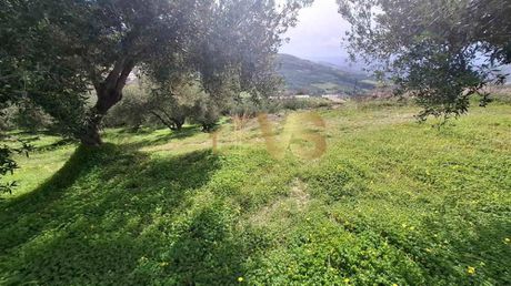 Οικόπεδο 1.174 τ.μ. για πώληση