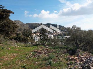 Οικόπεδο 4.428 τ.μ. για πώληση