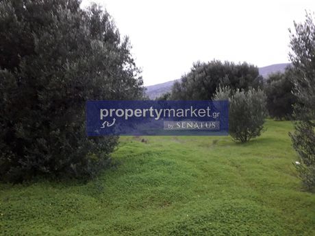 Parcel 2.250sqm for sale-Ierapetra » Kato Chorio