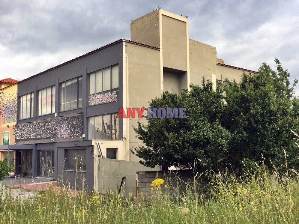 Επιχειρηματικό κτίριο 750 τ.μ. προς ενοικίαση, Ανθούπολη Μυγδονίας