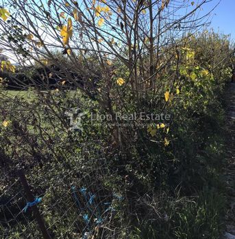 Οικόπεδο 5.000τ.μ. για πώληση-Οινιάδες » Νεοχώρι