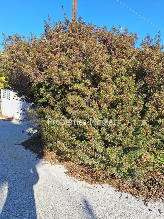 Οικόπεδο 450 τ.μ. πρός πώληση, Αττική - Υπόλοιπο, Καλύβια Θορικού