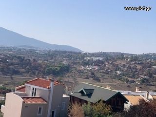 Οικόπεδο 350 τ.μ. για πώληση, Αθήνα - Ανατολικά Προάστια, Παλλήνη
