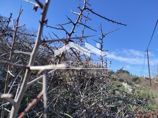 Οικόπεδο 8.184 τ.μ. προς πώληση, Ν. Χανίων, Βάμος-thumb-5