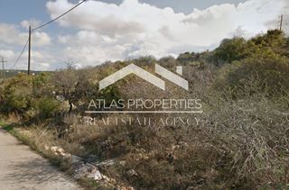Οικόπεδο 8.184 τ.μ. προς πώληση, Ν. Χανίων, Βάμος-thumb-16