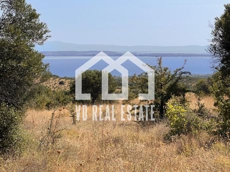 Αγροτεμάχια 20.100τ.μ. για πώληση-Πολύγυρος » Πετσάδα
