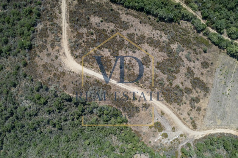 Αγροτεμάχια 17.092 τ.μ. πρός πώληση, Χαλκιδική, Σταγείρων - Ακάνθου