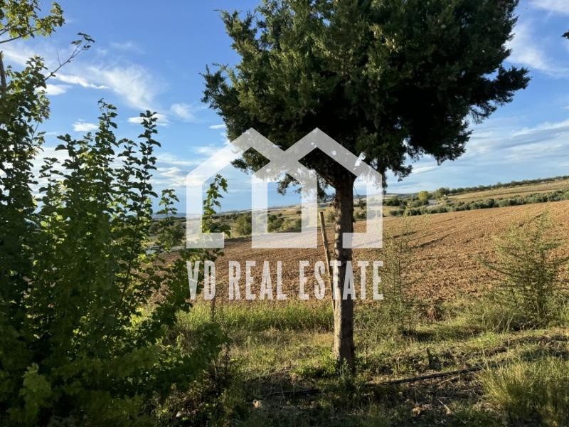 Αγροτεμάχια 6.400 τ.μ. πρός πώληση, Χαλκιδική, Τριγλία
