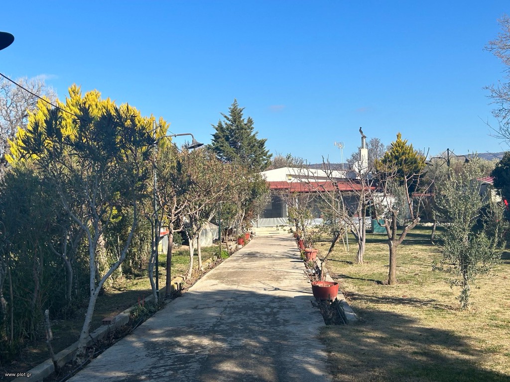 Οικόπεδο 2.625 τ.μ. πρός πώληση, Εβρος, Αλεξανδρούπολη