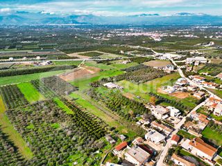 Οικόπεδο 1.105,83 τ.μ. για πώληση, Αργολίδα, Μιδέα-thumb-7