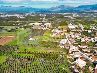 Οικόπεδο 1.105,83 τ.μ. για πώληση, Αργολίδα, Μιδέα-thumb-8