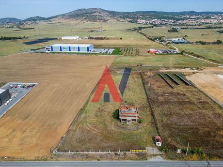 Αγροτεμάχια 10.000 τ.μ. για πώληση