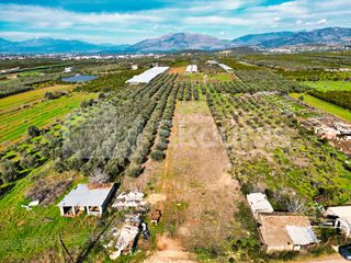 Οικόπεδο 2.198 τ.μ. για πώληση, Αργολίδα, Μιδέα-thumb-1