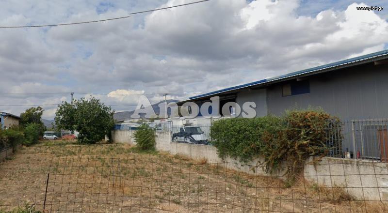 Οικόπεδο 1.000 τ.μ. προς ενοικίαση, Θρακομακεδόνες