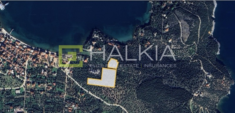 Αγροτεμάχια 13.130 τ.μ. προς πώληση, Αμαλιάπολη