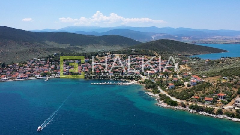 Αγροτεμάχια 13.130 τ.μ. προς πώληση, Αμαλιάπολη