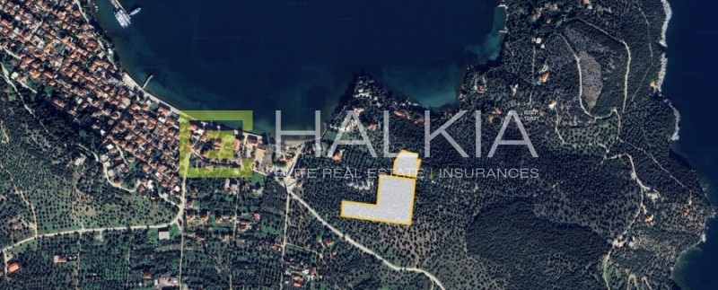 Αγροτεμάχια 13.130 τ.μ. προς πώληση, Αμαλιάπολη