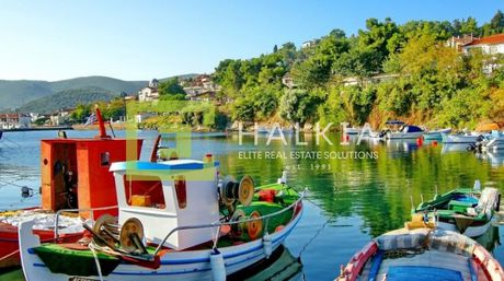 Αγροτεμάχια 13.130τ.μ. για πώληση-Σούρπη » Αμαλιάπολη