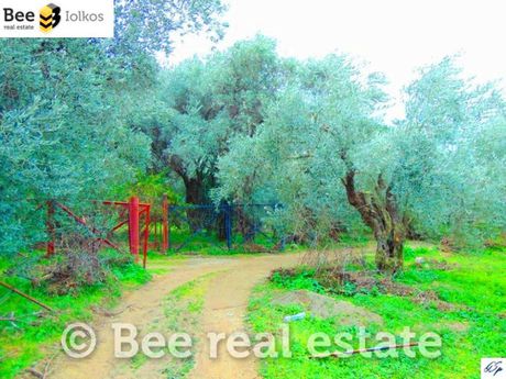 Parcel 2.055sqm for sale-Afetes » Profitis Ilias