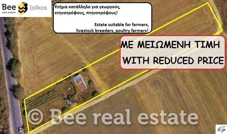 Αγροτεμάχια 4.982 τ.μ. πρός πώληση, Μαγνησία, Κάρλα