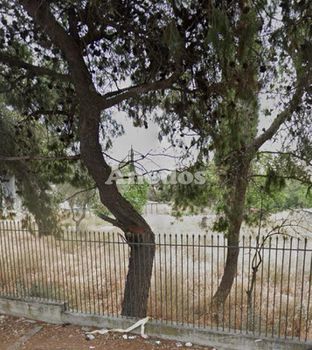 Οικόπεδο 4.000τ.μ. για ενοικίαση-Αχαρνές » Θρακομακεδόνες